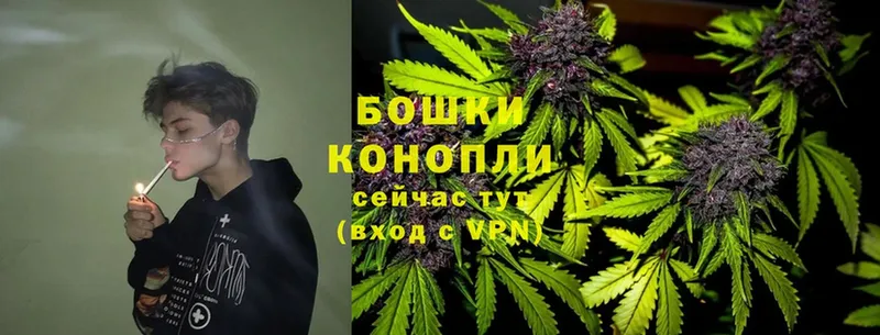 Бошки марихуана Ganja  mega вход  Курлово 